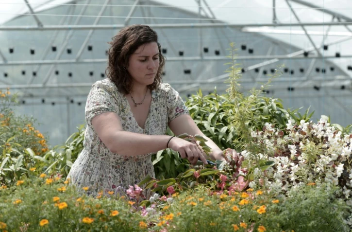 En 2016, avec son compagnon Thomas Panzolatto, Lucille Bonnet a lancé la première ferme en France à mêler, à échelle commerciale, des systèmes d'exploitation "hors-sol" en hydroponie et aquaponie en circuit fermé, avec bassins en extérieur et serre de 625 m2.