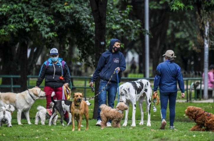 Des promeneurs de chiens dans un parc de Bogota le 16 février 2022