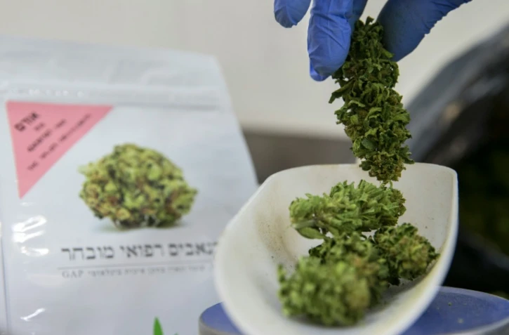 Une employée pèse des plants de cannabis dans l'enceinte de B.O.L (Breath of Life, souffle de vie) Pharma près de Kfar Pines en Israël, le 9 mars 2016