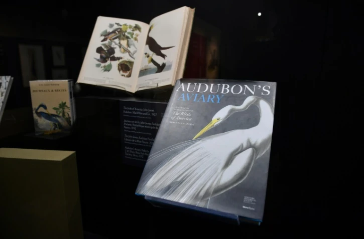 Oubliés dans des caisses à La Rochelle pendant plus d'un siècle, les dessins de jeunesse du peintre naturaliste Jean-Jacques Audubon sont exposés par le Muséum de la ville.