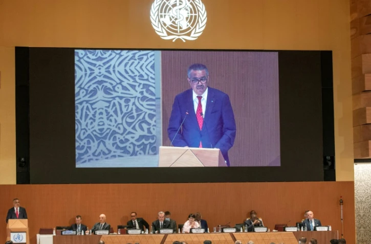 Le directeur général de l'OMS, Tedros Adhanom Ghebreyesus, le 22 mai 2022 à Genève