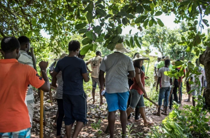 Des participants à "l'AgroBootCamp", le 16 avril 2019 à Tori-Bossito, au Bénin