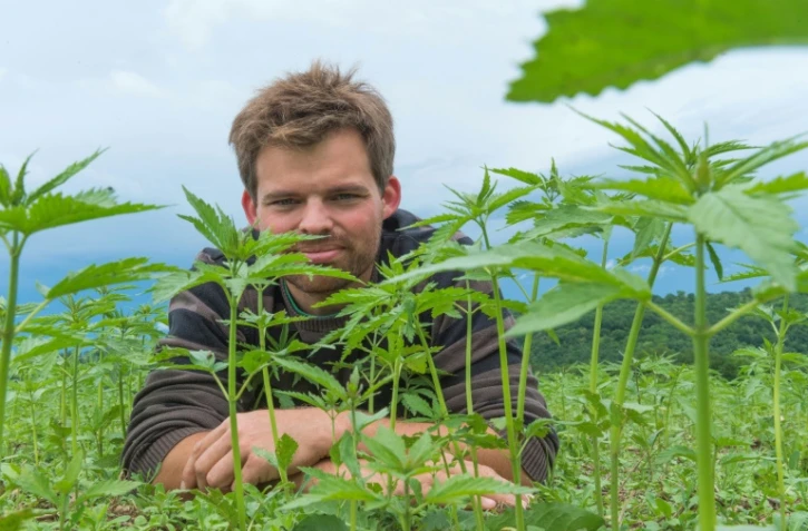 Marien Sablery, agriculteur chanvrier bio, dans un de ses champs Ă Evaux-les-Bains dans la Creuse, le 31 mai 2018