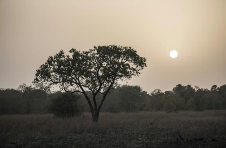 Lever de soleil le 11 janvier 2018 dans le parc de la Pendjari, au Bénin