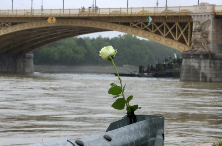 Une rose déposée au bord du Danube, à Budapest, le 30 mai 2019