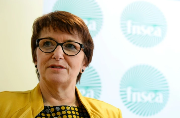 Christiane Lambert, la nouvelle présidente de la FNSEA, lors d'une conférence de presse à Paris, le 13 avril 2017 