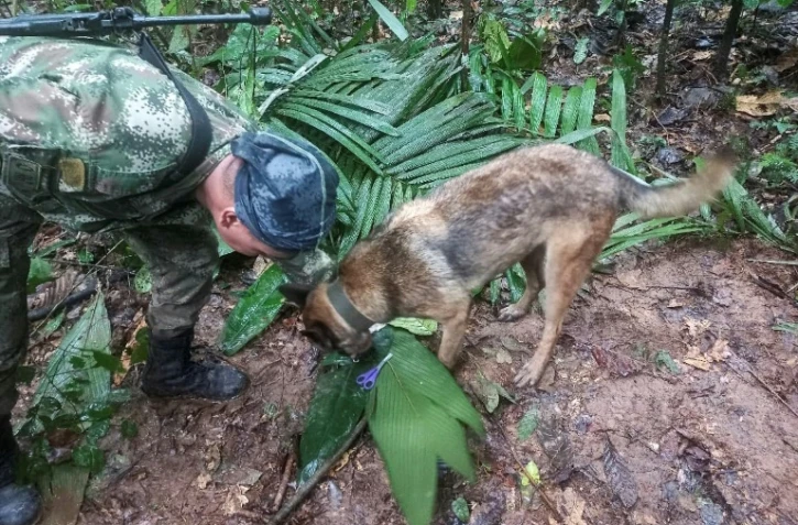Photo partagée par l'armée colombienne le 17 mai 2023 montrant les efforts des équipes de secours pour retrouver quatre enfants disparus dans la jungle, dans le sud du pays, après le crash du petit avion dans lequel ils voyageaient