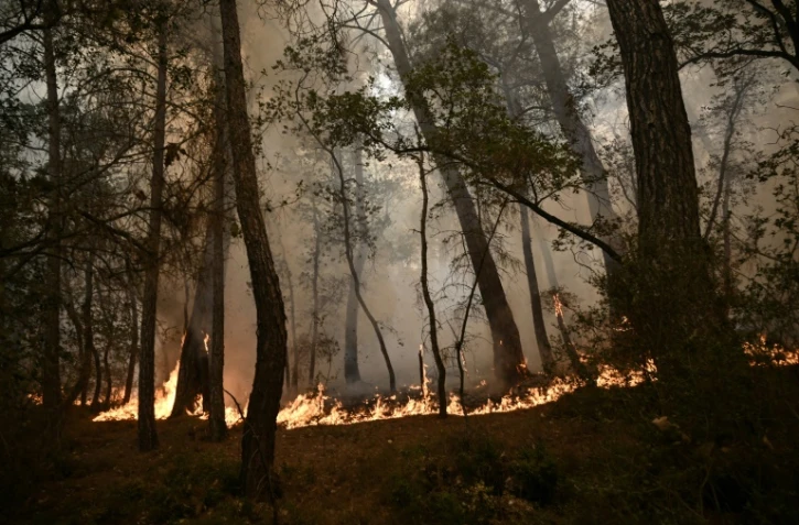 Un feu de forêt dans le parc national de Dadia, près d'Alexandroupoli, le 2 septembre 2023 dans le nord de la Grèce