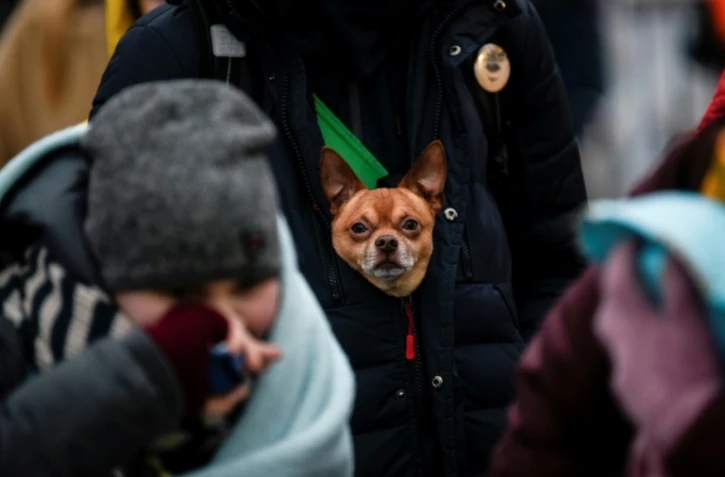 Un Ukrainien fuit la guerre avec son chien, et traverse la frontière avec la Roumanie, à Siret (nord de la Roumanie), le 16 mars 2022
