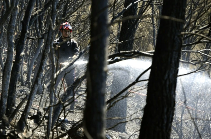 Un pompier lutte contre un incendie le 19 juillet 2016 dans la forêt entre Correns et Montfort dans le sud-est de la France