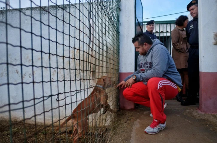 Un détenu de la prison de haute sécurité de Monsanto caresse un chien à travers un grillage, le 24 octobre 2016 à Lisbonne, au Portugal