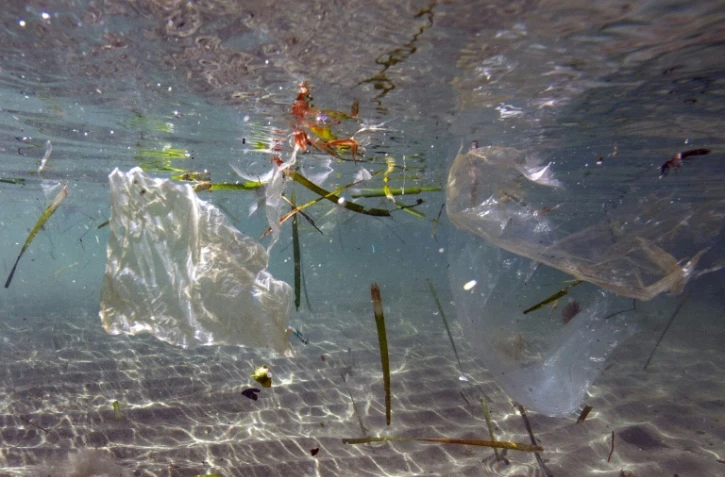 Des sacs en plastique dans l'eau à Marseille le 30 mai 2019