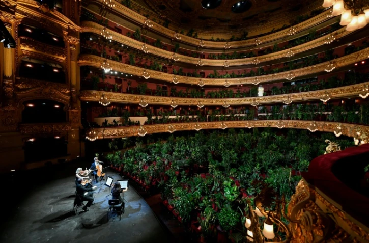 El cuarteto Uceli actúa para un público formado por plantas durante un concierto creado por el artista español Eugenio Ampudia, el 22 de junio de 2020 en el Gran Teatro Liceu de Barcelona