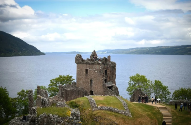 Ce n'est pas un requin, pas davantage un poisson-chat ou un esturgeon géant. Et si l'insaisissable monstre du Loch Ness était... une anguille géante?