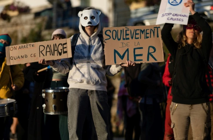 Des manifestants grimés en ours polaires, en otaries ou en carnavaliers vénitiens rassemblés à Douarnenez pour protester contre les bateaux de croisière, le 8 octobre 2023 dans le Finistère
