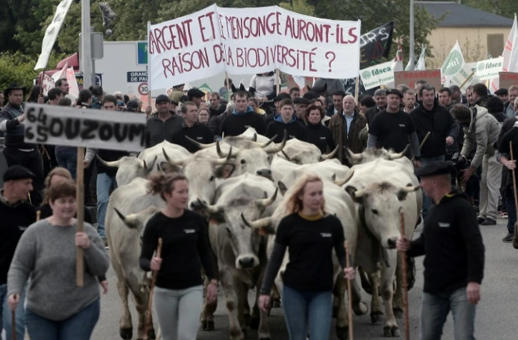 Des bergers, agriculteurs et élus de tous bords, manifestent à Pau le 30 avril 2018 contre la réintroduction de deux ourses dans les Pyrénées-Atlantiques (sud-ouest)