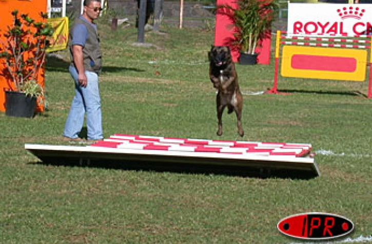 Vincent Paulo et son berger belge malinois Nelco ont remporté le concours de ring III organisé le samedi 13 et le dimanche 14 mars à Saint-Paul