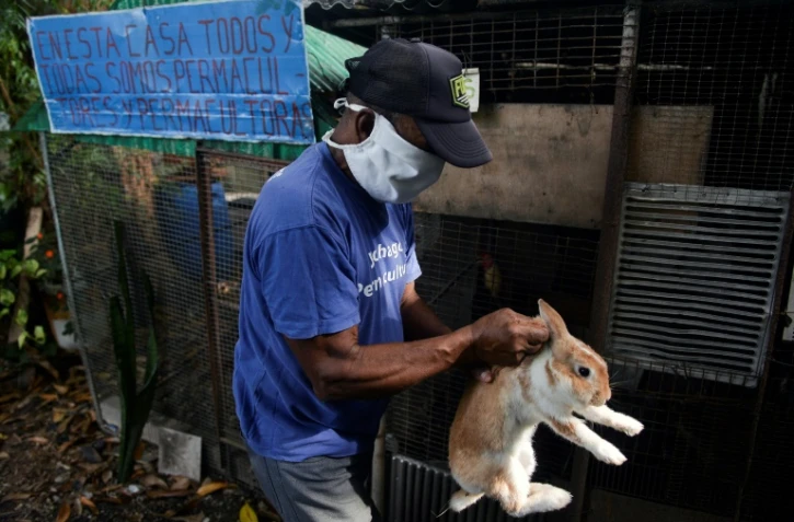Jesus Sanchez élève lapins et poules dans la cour de sa maison à La Havane, le 24 juin 2020