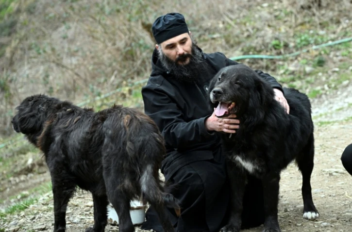 Le père Porfirij joue avec des chiens Karaman au monastère Bigorski de Mavrovo i Rostuse, le 19 mars 2026 en Macédoine