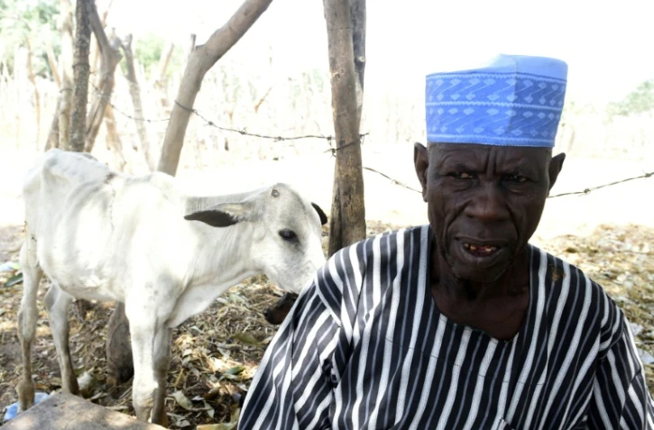 Madu Maji, le patron du marché au bétail de Makurdi, le 4 janvier 2018 