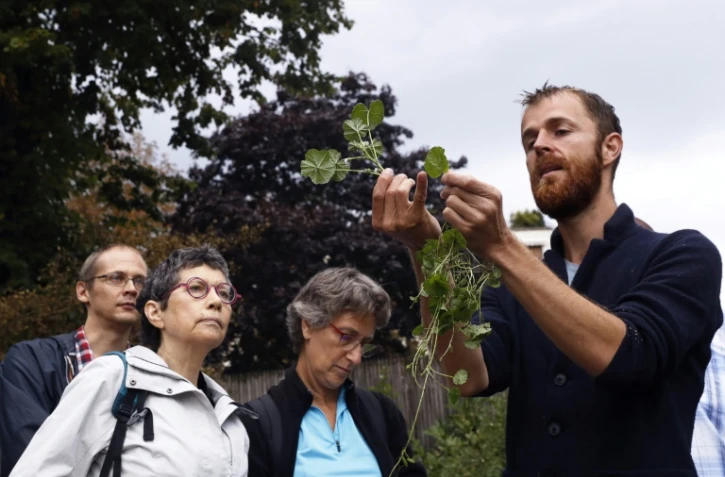 "Les plantes sauvages comestibles et médicinales font partie de notre patrimoine, mais sont tombées dans l'oubli", regrette Christophe de Hody (à droite), un naturopathe à la tête d'un petit groupe de cueilleurs débutants. 