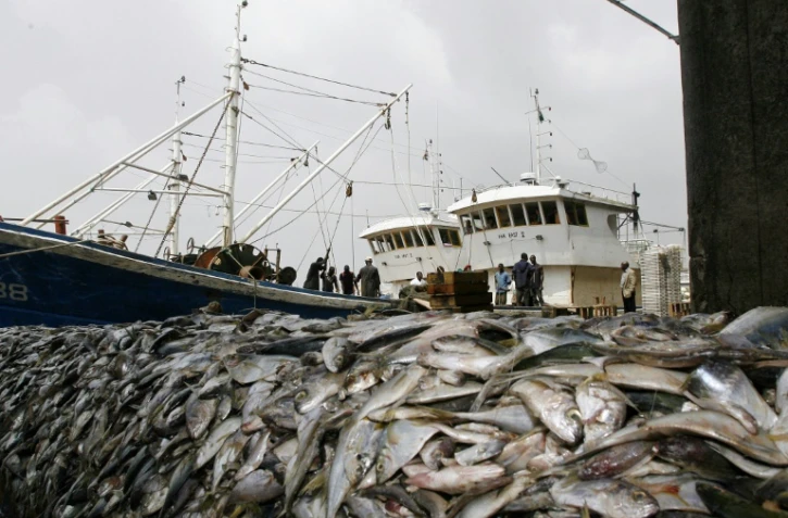 Pêche saisie sur deux chalutiers chinois pratiquant la pêche en eaux profondes au port d'Abidjan, en Côte d'Ivoire, le 27 décembre 2007