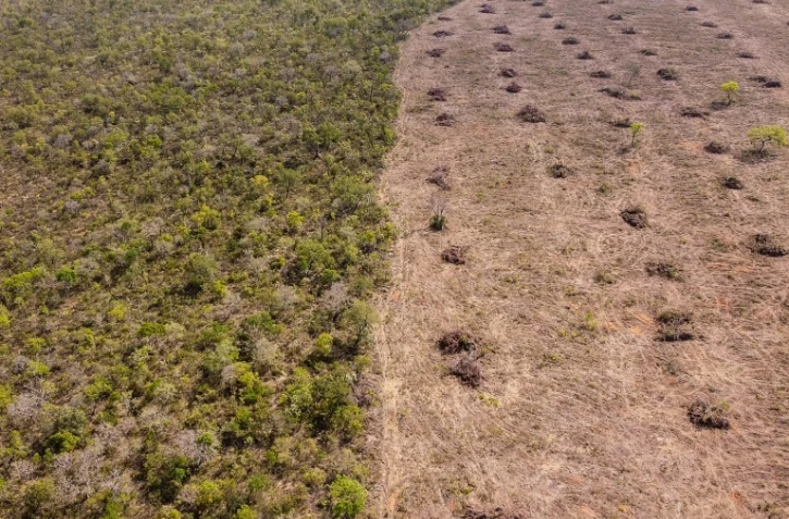 Vue aérienne de la déforestation dans le Cerrado, le 25 septembre 2023 dans l'Etat de Bahia, au Brésil
