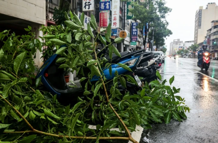 Des arbres couchés après le passage du typhon Podul à Taïwan le 13 août 2025