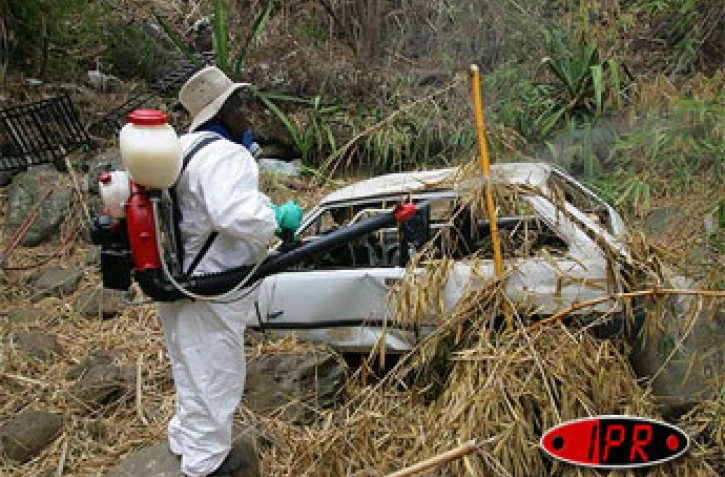 Lundi 21 novembre 2005 -

Une importante opération de démoustication s'est déroulée ce lundi 21 novembre 2005 dans deux ravines des hauts de Saint-Paul