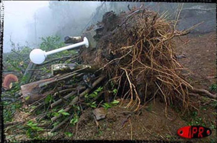 Images de désolation lors du passage du cyclone Dina sur La Réunion le 22 janvier 2002