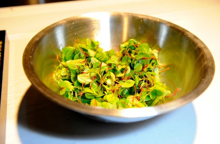 En cette période de fêtes, les repas peuvent virer au casse-tête face aux régimes et modes alimentaires qui font de plus en plus d'adeptes