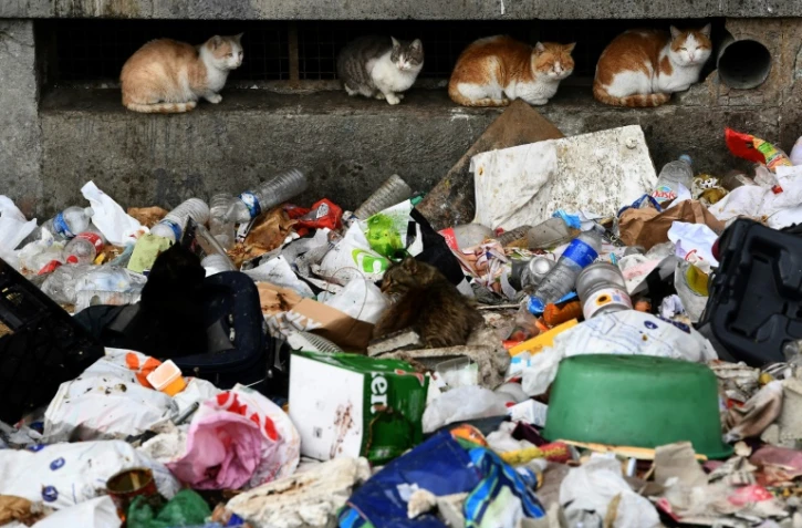 Des déchets amoncelés devant une barre de la cité des Kalliste, dans le nord de Marseille