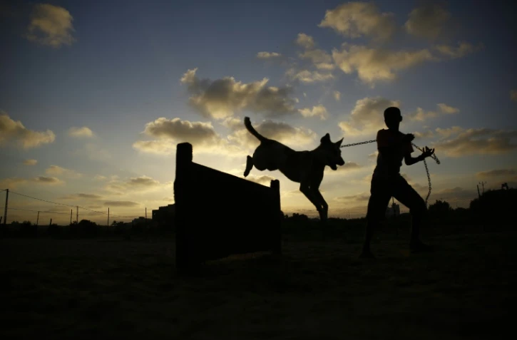 Un bénévole palestinien promène un chien au refuge d'Al-Zahra, au sud de Gaza, le 18 août 2016