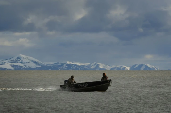 Des chasseurs esquimaux yupiks du village de Quinhagak, rentrent d'une expédition en mer, le 12 avril 2019 en Alaska
