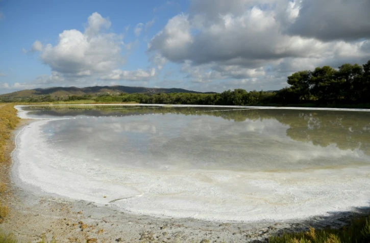 Plage redessinée par la nature aux "Vieux-Salins" d'Hyères, le 31 août 2021
