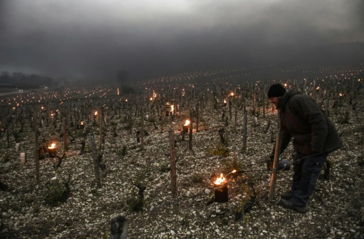 Un viticulteur allume des réchauds, à l'aube, le 21 avril 2017 à Chablis, près d'Auxerre, région touchée par le gel