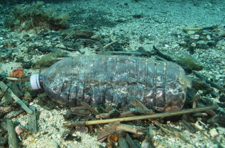 Si l'île Henderson est déserte et à plus de 5.000 kilomètres du premier grand centre urbain, ses plages sont jonchée de près de 38 millions de morceaux de plastique, ont estimé les chercheurs (photo d'illustration)