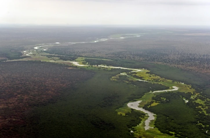 Vue aérienne sur le parc national de Boma au Soudan du Sud, le 4 février 2020