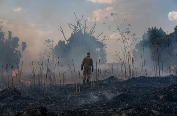 Incendie de forêt dans l'Etat brésilien du Mato Grosso, le 26 août 2019