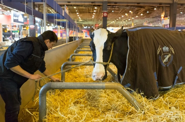 Un éleveur au Salon de l'Agriculture le 25 février 2016 à Paris