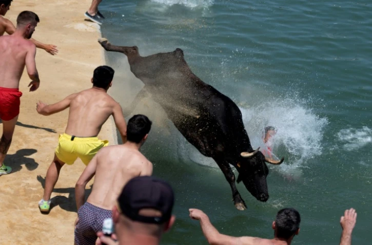 Au cours d'un lâcher de taureaux dans le port de Denia, près d'Alicante, en Espagne le 14 juillet 2022