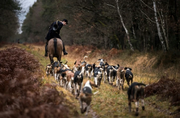 Chasse à courre dans la forêt près de Châtenoy, en France, en France, le 23 décembre 2017