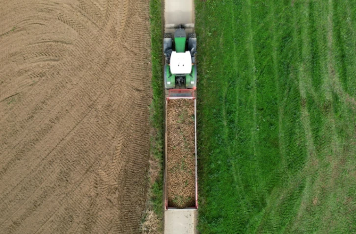 Vue aérienne d'une remorque remplie de pommes de terre près de Geer, dans l'est de la Belgique, le 26 septembre 2025