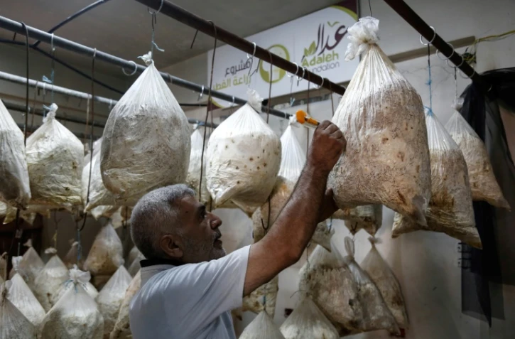 Un syrien, membre de la Fondation Adala, une ONG locale, cultive des champignons dans des sacs en plastique remplis de paille, dans la ville assiégée de Douma, à l'est de Damas, le 2 août 2017