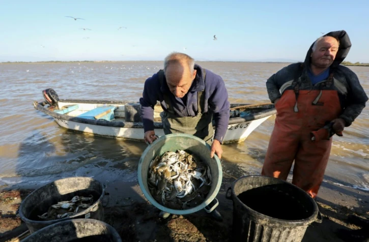 Les pêcheurs d'anguilles Yves Rouge et Jean-Claude Pons déchargent les crabes bleus qu'ils ont récupérés dans leurs filets lors de leur pêche au large de Canet-en-Roussillon, le 18 août 2021