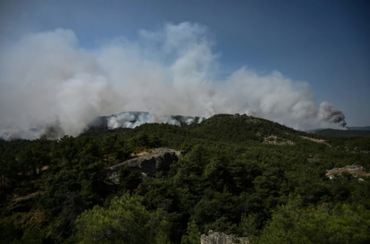 Un incendie fait rage dans la forêt de Dadia, près d'Alexandroupoli, dans le nord de la Grèce, le 24 août 2023