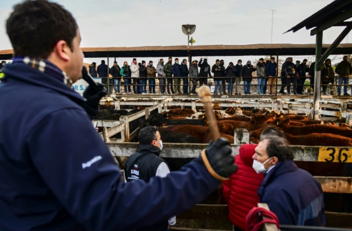 Vente aux enchères de bétail au marché de Liniers de Buenos Aires, le 1er juillet 2021 en Argentine