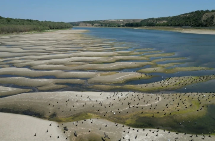 Photo des rives asséchées du Danube à Rasova en Roumanie, le 13 août 2026