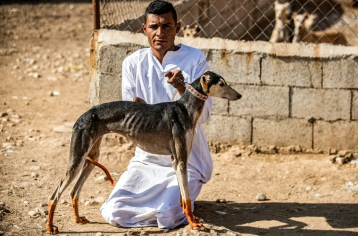 Mohammed Derbas éleveur de lévriers est assis à côté d'un de ses chiens, dans le village de Derbassiyé (nord-est de la Syrie), le 26 octobre 2020