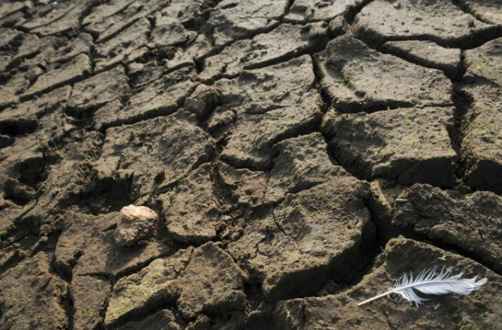 Les experts climat du Giec se penchent lundi sur un rapport pouvant permettre de limiter le réchauffement de la planète